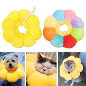 Wholesale sunflower cat collar for sale - Group buy Cat Collars Leads Style Soft Adjustable Sunflower Shape Pet Dog Circle Collar Neck Cone Protection Cats Kitten Supplies Accessories