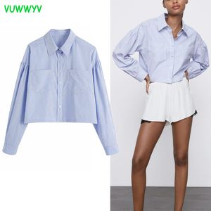 Frauen Blau Rosa Gestreift Plus Größe Shirts Frau Sommer Button Up Kragen Weibliches Hemd Langarm Crop Damen Tops 210430