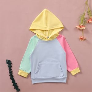 Baby / Toddler ColorBlock Hooded Pullover 210528