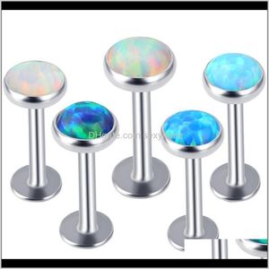 Anelli Borchie Intera vendita Opale Pietra Anello al naso Stud 12345 Gioielli penetranti per il corpo Accessori moda Labret Labbro Gtpmn Wuubk