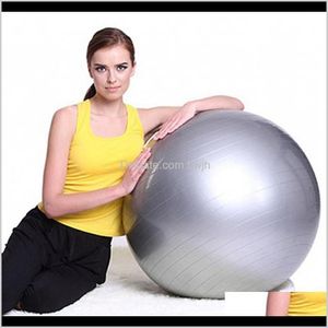 Varumärke Sport Yoga Balls Bola Fitness Gym Fitball Motion Pilates Utrustning Workout Ball A2KZT IRHCD