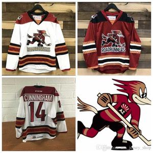 Custom Tucson Roadrunners 2 Andrew Campbell 35 Hunter Miska 43 Dakota Mermis 72 Ryan MacInnis Red White AHL Hockey Stitched Jersey S-3XL