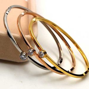Schlichtes Design, Einzeldiamant-Armband, Armreif aus Itaniumstahl, galvanisiertes Paar aus 18-karätigem Roségold