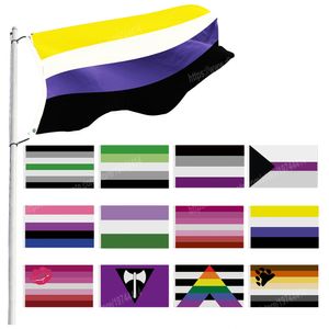 Regnbåge Pride Flaggor 90 x 150cm 3 * 5ft Anpassad banner Metallhål Grommets Icke-binär aromantisk läppstift Lesbisk Asexual kan anpassas