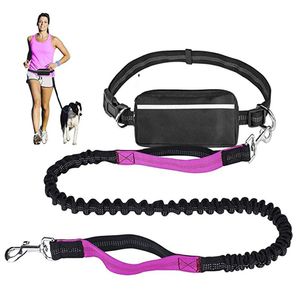 Hands Free Elastic Pet Dog Leash/Lead For Small Large Medium Dogs Training Leash Running Jog Lead/Leashes Rope Waist Belt R Collars & Leashe