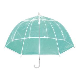 Transparente Regenschirmkinder großhandel-Regenschirme Kinder Cartoon Regenschirm mit Pfeife Kreative transparente lange Griff Frauen Paraguas Transparente Infantil Manual A