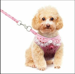 Dog Collars & Leashes Soft Mesh Lace Small Harness Step-in Puppy Leash Set Pet Jacket Vest