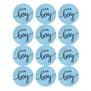 Creative Decoration Sticker Party Team Boy or Girl Vote Stickers for Gender Reveal Party Baby Shower Supplies 120pcs