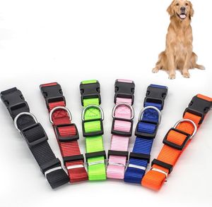 Dog-krage 6 färger nylon hund krage med snabb snap spänne justerbar nackband hundar katt husdjur krage sn3127