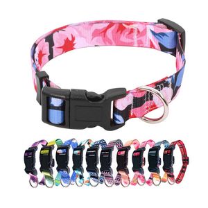 Bezpieczeństwo Breakaway Cat Dog Collars Neck Nylon Kitten Puppy Pet Leash Akcesoria