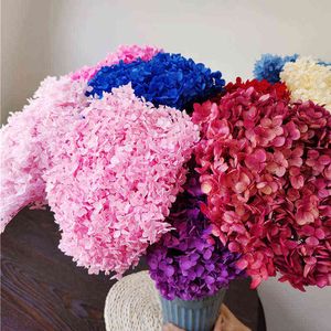 1bunch / 40x20cm / 30Colors Anna Hydrangea Filial inteira Preservado Secado Flor Buquê Pogador Home Desktop Jardim Decoração 211027