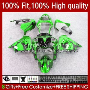 Spritzgusskörper für KAWASAKI NINJA ZX 9R 900 CC ZX9 9 R ZX9R 00 01 02 03 Karosserie 25Nr. 91 ZX900 ZX-9R 2000 2001 2002 2003 ZX-900 900CC 98–03 OEM-Verkleidungsset, grüne Flammen