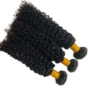 Accept Sample Grade a Jerry Curly Mink Brazilian Human Hair Vendor Grams Full Head For Black Women