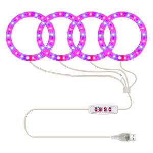 4 Angel Rings LED Grow Light Lâmpada de planta de espectro total para mudas de interior Suculentas e Bloom Luz solar Rosa Vermelho Azul