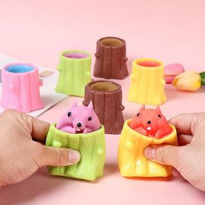 Push Squeeze Squirrel Cup Fidget Toys Cartoon Animal Whole Person Antistress Evil Squirrels Hand Kids Adults Decompression Toy Children's gifts