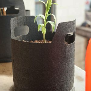 Wholesale planting bags for trees for sale - Group buy Planters Pots Black Non woven Planting Bag Tree Seedling Family Garden Flowerpot