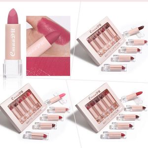 MSDS Certified 5Pcs/Set Matte Lip Gloss Semi-matte Moisturizing Waterproof Long-lasting Easy To Wear Lipstick Makeup 24sets/lot DHL