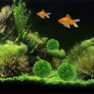 Decorazioni muschio palle vivono acquario pianta pianta algae pesce gamberetti serbatoio ornamento felice ambientale verde verde