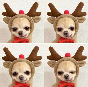 犬猫小型犬のアパレル秋/冬のフルーツのセーターフリース衣料品用品ペットテディファイト