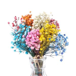 Konservierte Blumen großhandel-Dekorative Blumen Kränze bouquet Mini Daisy Star Bouquet Getrocknete bunte natürliche Pflanzenschutzvorbereitung Floral für Hochzeit Wohnkultur PO Requisiten
