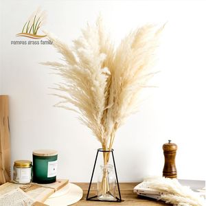 Pampas gräs dekor vit färg naturlig torkad blommor fluffig blekt bukett boho vintage stil för bröllop hem juldekoration 210925