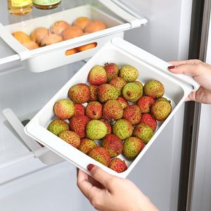 Depolama Şişeleri Kavanozlar Mutfak Organizatör Ayarlanabilir Buzdolabı Raf Buzdolabı Dondurucu Raf Tutucu Uzay Yumurta Meyve Aracı