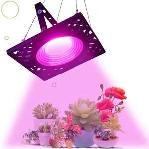 Full Spectrum LED Grow Light 110V 220V Indoor Growing Lamp 500W High Luminous Efficiency Phyto Lampade per la crescita delle piante Tenda Serra