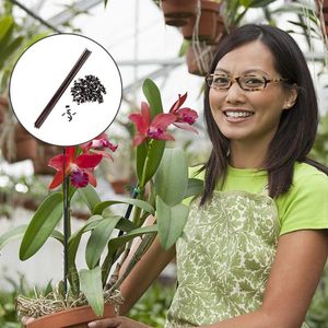 Ställ gröna växtstöd stakes phalaenopsis pinne med clips planters krukor