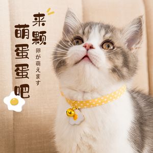 Bonito Gato Collar Pescoço Jóias Bell Dog Decoração Gatinho Collar Colar Fontes