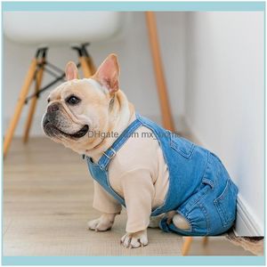 Dostawy odzieżowe Home GardenWinter Mały Średni Kostium Denim Odzież Pet Dla Psy Płaszcz Jeans Puppy Pm Psów Ubrania Ropa Perro 201126 DRO