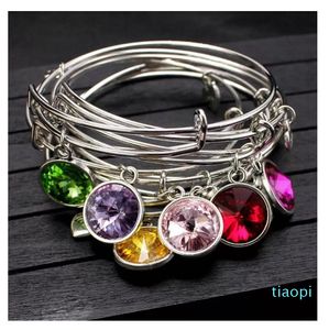 12 Birthstone Heart Bracelet Charm Wire Adjustable Expandabel Bangle Bracelets Wristband Women Girl Birthday Party Fashion Jewelry