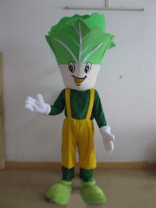 Stage Performance green vegetables Mascot Costume Halloween Christmas Fancy Party Cartoon Character Outfit Suit Adult Women Men Dress Carnival Unisex Adults