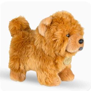 Aurora 25 cm Chow Doll Farcito Cute Animal Puppy Peluche Simulazione Cane Fluffy Dolls Compleanno Regali di Natale Soft 210728