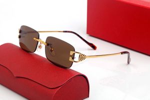 Lüks Marka Gözlük Tasarımcı Güneş Gözlüğü Adam Spor Kare Altın Gümüş Çerçeveleri Gözlük Buffalo Horn Carti Gözlük Çerçevesiz Haft Çerçeve Gözlük Erkek Bayan Kılıf