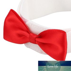 Colares Collars Leashes Acessórios Para Pet Arnês Leads Pássaro Roupas Gravatas Adorável Elegante Bowknot Tie Feito Feito à mão Dog1 Preço de Fábrica Especialista Qualidade Mais Recente