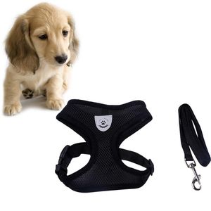 Dog Collar Leashes Andas Mesh Small Pet Sele och Leash Set Valp Vest Rosa Röd Blå Svart Accesorios Mascotas Perros Collares