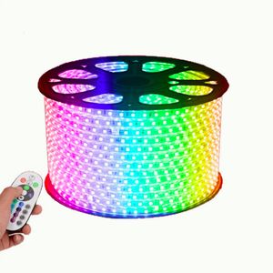 60pcs/m Leds Strip Lamp 220V110V SMD5050 IP65 Waterproof RGB Changeable Led Strips Light with Controller for Outdoor