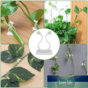 Plant Climbing Wall Self-adhesive Fastener Tied Fixture Vine Buckle Hook Garden Plant Wall Climbing Vine Clips Fixed Buckle#p3