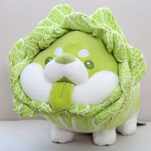 Kål shiba inu hund söt grönsak fairy anime plysch leksak fluffig fylld växt mjuk docka kawaii kudde baby barn leksaker gåva z220314