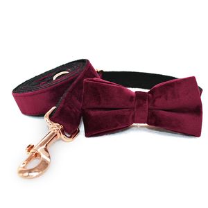 Collari a catena per cani gatto rosso vino Collare per animali domestici in doppia microfibra di velluto Guinzagli Schnauzer Pug Teddy Forniture per animali domestici