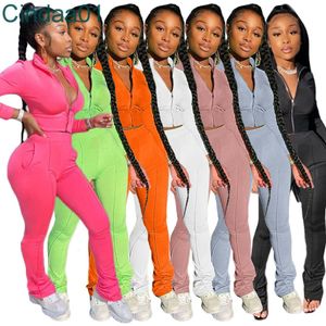 Mulheres Tracksuits Dois Pedaço Definir Designer Sólido Cor Casual Jaqueta Calças Longas Pants Outfits Senhoras Jogging Sport Roupas 6 Cores