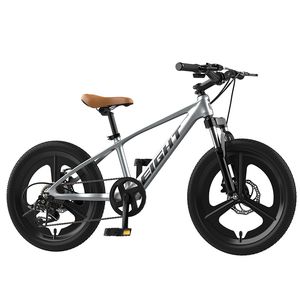 2023 고품질 가벼운 디자인 20 인치 3 컬러 마그네슘 합금 스포츠 자전거 자전거 어린이 산악 자전거 소년 생일 선물