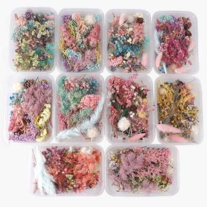 Mix Beautiful Real Dried Flowers Natural Floral for Art Craft Scrapbooking Resin Jewelry Craft Making Epoxy Mold 20220112 Q2