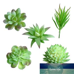 5pcs Decorative Mini Assorted Green Plant Faux Plant Artificiali Piante succulente Artificiale Emulational Cactus Impianti per la casa Desk Desk Garden Prezzo di fabbrica Design esperto