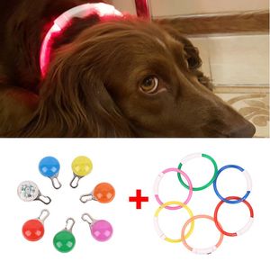 Dog Collar Leashes 1 Set Uppladdningsbar Blinkande Natt med Pendants USB Luminous Pet Cat LED Light Laddning Glödande Teddy Flash Collar