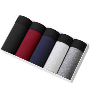 Masculino boxeador de roupas íntimas algodão sob uso de boxershorts de boxorts de masculino Buas de boxer boxer boxer homme 5pcs/ pack 3xl