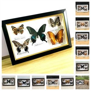 Vacker fjärilsexemperatur Utbildningsmaterial Samling / Butterfly Po Frame Artwork Dekoration Hem 211101