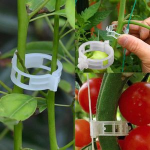50 100 200pcs 23mm Plastic Plant Support Clips clamps For Plants Hanging Vine Garden Greenhouse Vegetables Tomatoes Clips Y0729