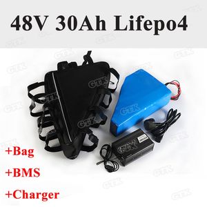 Trójkąt 48V 30AH LifePo4 Litowe akumulator Wbudowany BM 50A dla Trójkołostwa wózka elektrycznego 1000W 2500 W+5A