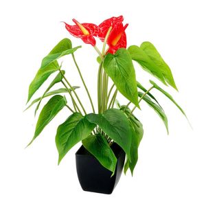 Wholesale easy potted flowers for sale - Group buy Decorative Flowers Wreaths Artificial Plant Home Decor Desktop Adjustable Shape Office Easy Clean Simulation Bonsai Fake Evergreen Potted
